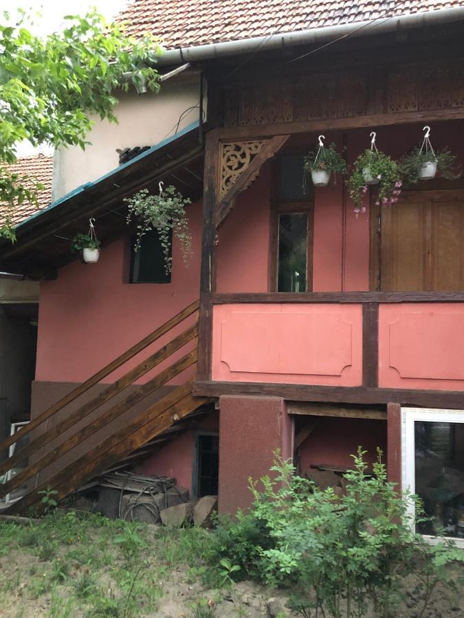 Apartamento Cezara Mediaş Exterior foto